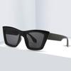 Vintage Small Cat Eye Sunglasses Women Luxury Designer Retro Cat Eye Sun Glasses for Ladies New Fashion Square Female Sunglass