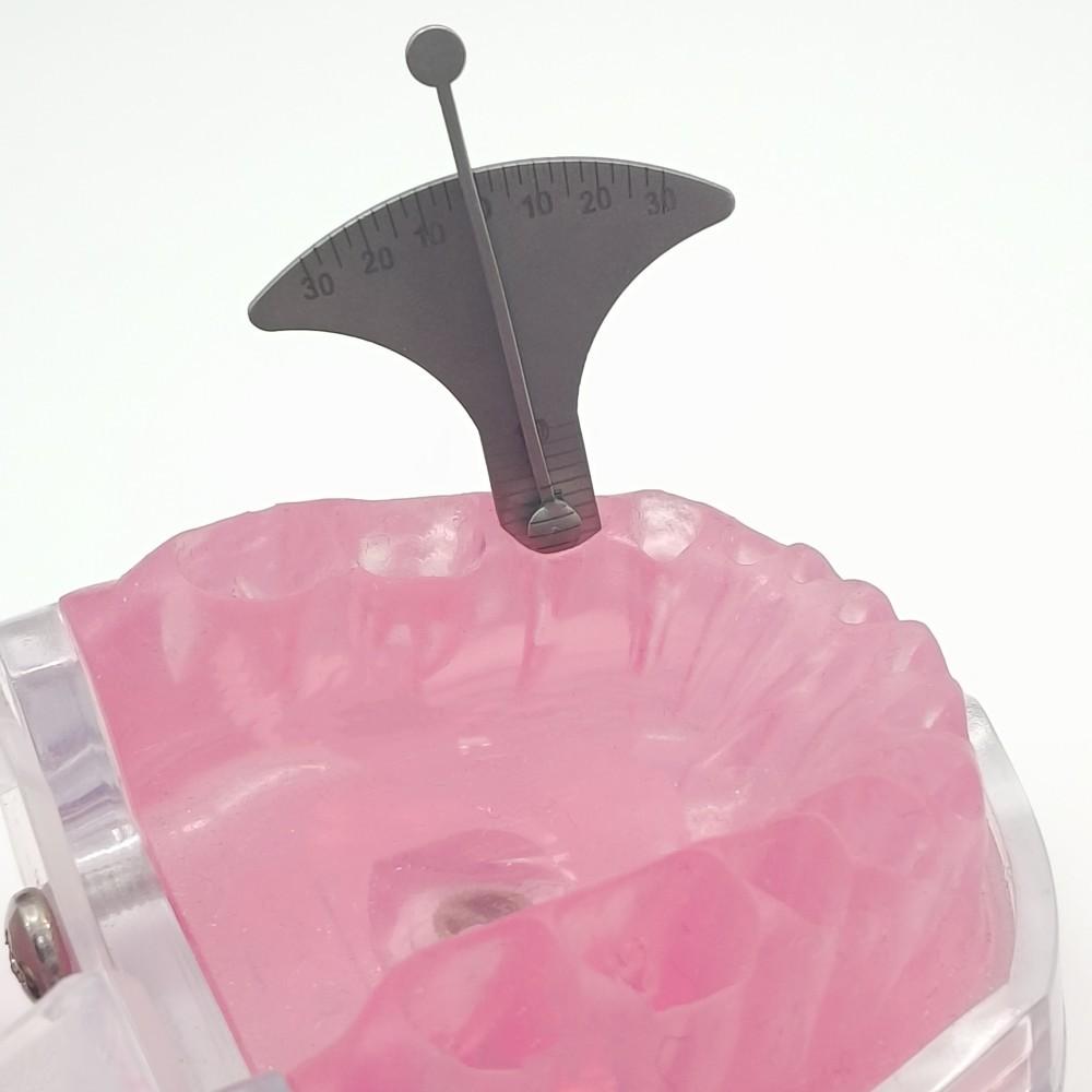 Set di strumenti per l'altezza e l'augulazione della cuffia dell'impianto dentale Righello per misurazione dell'altezza di taglio e del calibro di angolazione