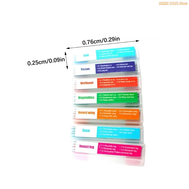 K1AE 35pcs Educational Microscope Prepared Slides Seven Categories Biology Classroom
