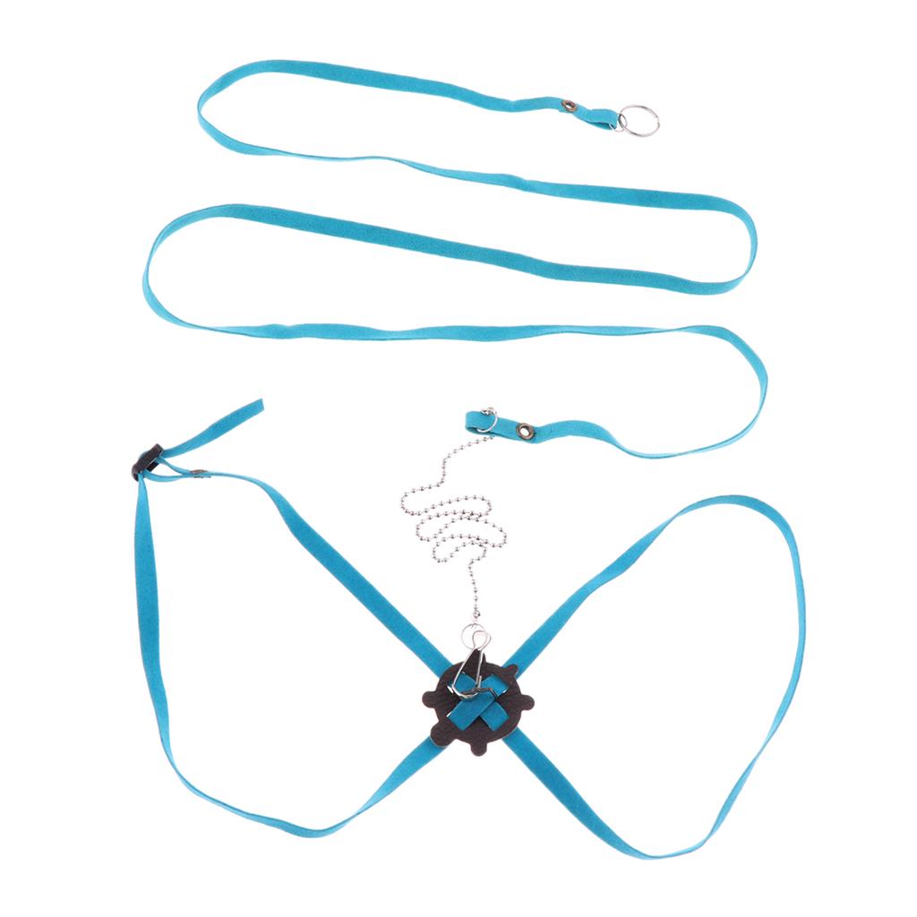 turtle harness leash