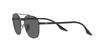 Sunglasses RB3688 Black Dark Gray Lenses Ray-Ban 55/Crystal (1.9)