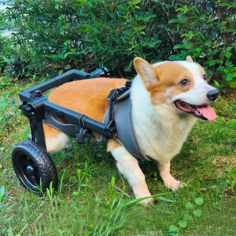 Medium and Large Pet Dog Wheelchair Dog Rehabilitation Walking Assistance Cart Moped Pet Dog Scooter