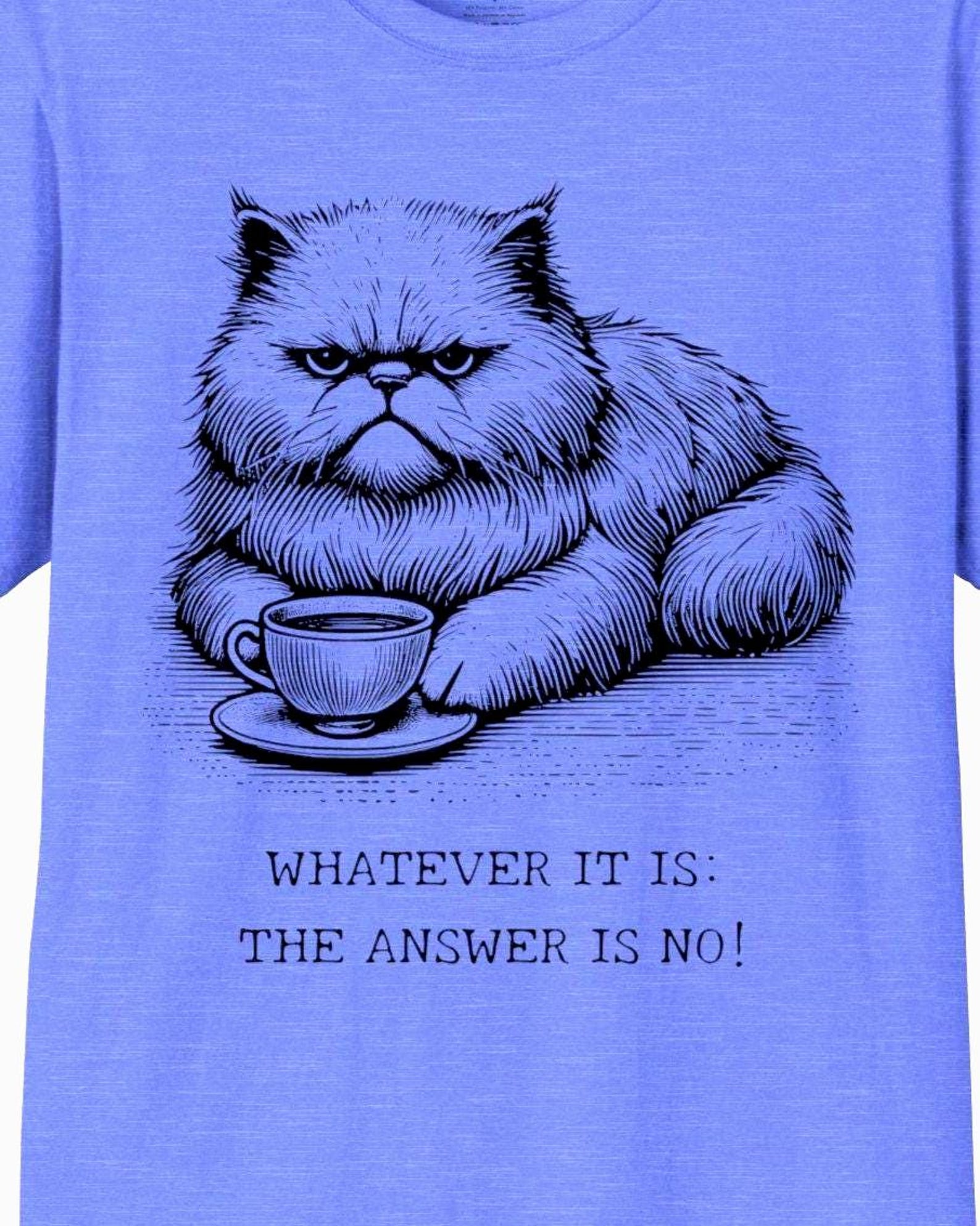 Grumpy Cat T-Shirt: Funny Sarcastic Tee for Cat Lovers M