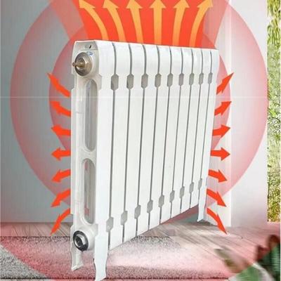 Huxin Cast Iron Painted Radiator