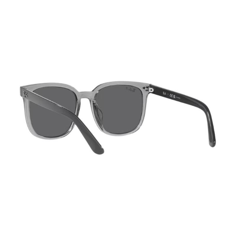 RAYBAN logo Acetate Square Sunglasses Unisex Couple Style 33 RB4401D 6599/81 RB4401D_6599/81