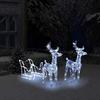 Christmas Decoration - EXCLUSIVE HOUSE - 2 Reindeer and Sleigh - 160 LEDs 130 Cm - Cool White - USB