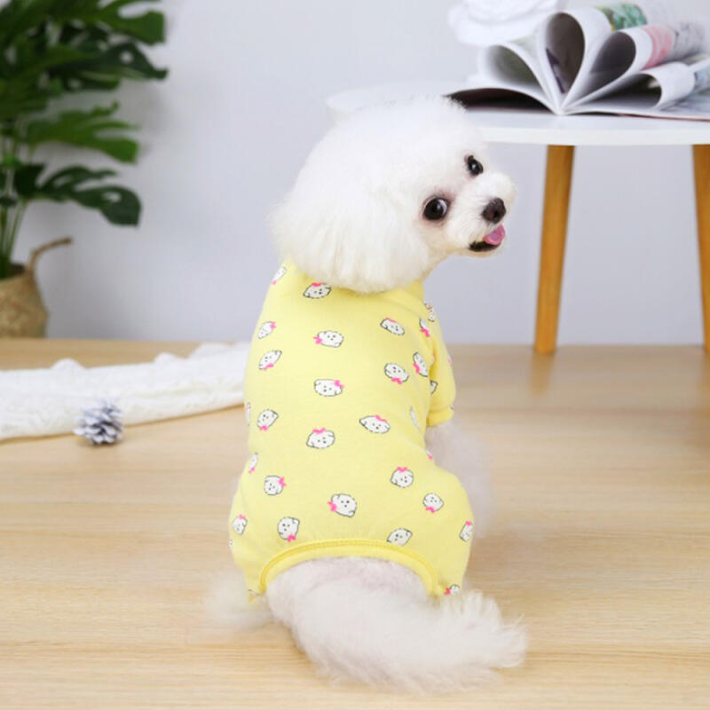 Ribbon Welpe All-in-One Hund Indoor Kleidung Hund Unterwäsche