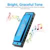 10 Holes KeyC Blues Harmonica Beginner Durabled Mouth Organ 20 Tunes Blue Musical Gifts