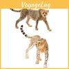 Lifelike Wild Animal Replica Cheetah Head Up Clouded Leopard African Leopard Indian Leopard Desk Decoration Toy 10*2.5*6.5cm)