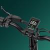 Engwe ENGINE PRO 2.0 Electric Bike 52V 16Ah Battery, 750W Motor, 20*4.0 Inch Tires, Hydraulic Brake, 75Nm Torque E-bike