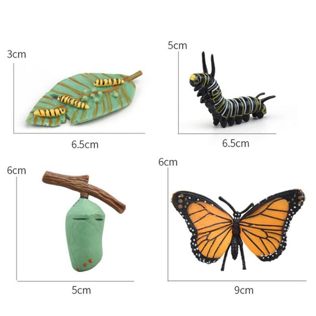 Animal Figurines Set for Biology Education And Party Gifts