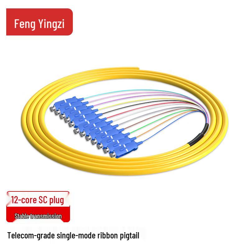 Telecom-Grade 12-Core SC Single-Mode Fiber Optic Pigtail