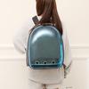 1Pcs Portable Transparent Pet Backpack Space Breathable Space Capsule Bag  Pet Supply