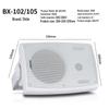 Shile USB Bluetooth Wall-Mounted Amplifier & Speaker Set CN plug (adapter included)