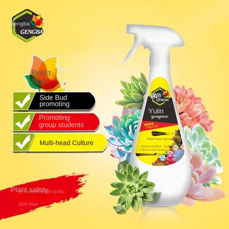 

Суккулентное растение эубластины стимулируют распускание почек бутон цветок удобрение раствор питательных веществ для растений 600 мл