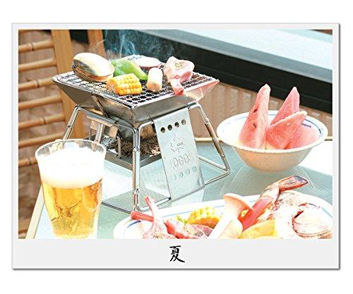 LOGOS Pyramid Grill, Stainless Steel Grill (Serves 1-2 People), 81063112