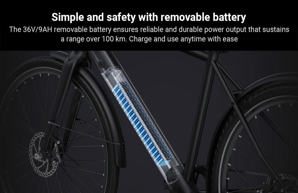 DYU Stroll 1 Elektrofahrrad, 250W Motor, 36V 9Ah Akku, 700*38C CST Reifen, 25km/h Höchstgeschwindigkeit, 100km Reichweite