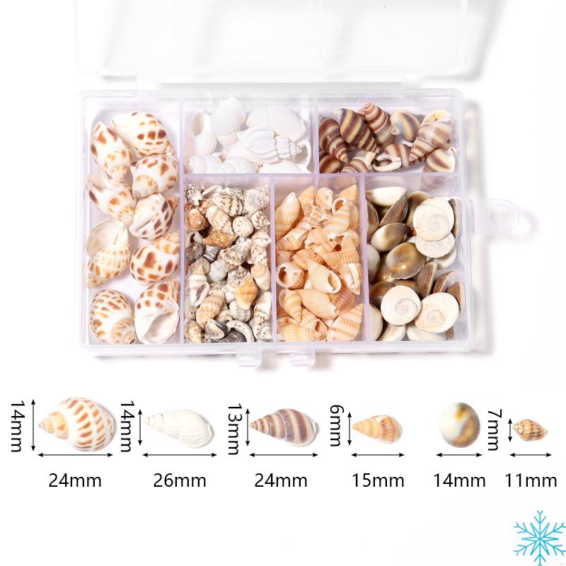 1 Box Sea Shells Spiral Shell Tiny Ocean Spiral Seashells Crafts Aquarium Decoration Landscaping Accessories Photography Props