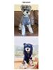 Trendiger Herbst-/Winterpullover für kleine Haustiere: Schnauzer, Yorkie, Französische Bulldogge, Pudel und Katzen.