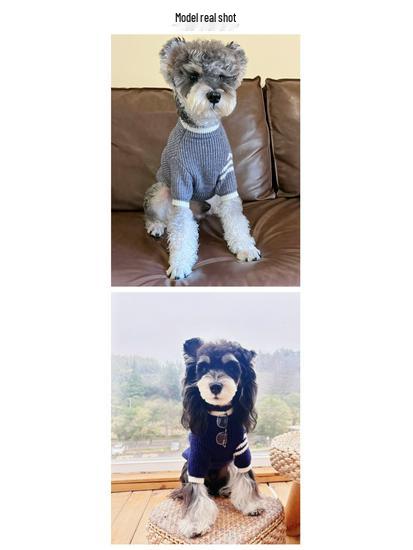 Trendiger Herbst-/Winterpullover für kleine Haustiere: Schnauzer, Yorkie, Französische Bulldogge, Pudel und Katzen.