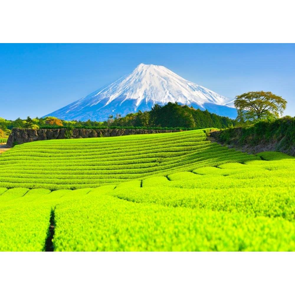 Artistic Wallpaper Poster (Removable Sticker Type) -How Photograph Earth- Fresh Green Carpet Shoots Tea Fields Imamiya Spectacular View Mount Fuji (A2