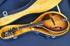 Gitarlar, Kitara ve Mandolinler – Gitarlar