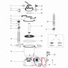 P6663 Strainer Basket and P6664 O Ring Two Piece Replacement for Hayward Pool Pump Models For 58397 58515 58516