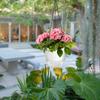 Simple Self Watering Hanging Pots Indoor Plant Hanging Pots with Drainage Hole Visible Water Level