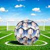 1pc Nightly Elephant Dreams Size 5 Soccer Ball Professional Match Training Football Indoor &Outdoor Sports Ball Lightweight Durable C6569