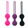 3Pcs Kegel Balls Vaginal Geisha BallSilicone Ben Wa Ball Vagina Tighten Exercise Machine Sex Toy for Women