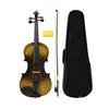 Full Size Violin Beginner Set Portable for Lessons