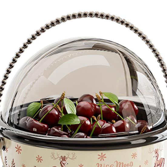 Ovocný talíř s víkem Vestavěná rukojeť Snadno čistitelný Ochranný kryt Sušené ovoce Ořechy Svačiny Předkrmy Podnos Prachotěsná nádoba na svačiny