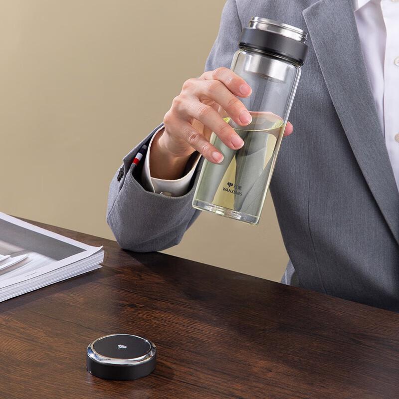 WANXIANG Portable Tea Infuser Glass Bottle