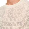 FENDI Allover Ff Jacquard Crewneck Jumper FZY063AAUQF0KE0