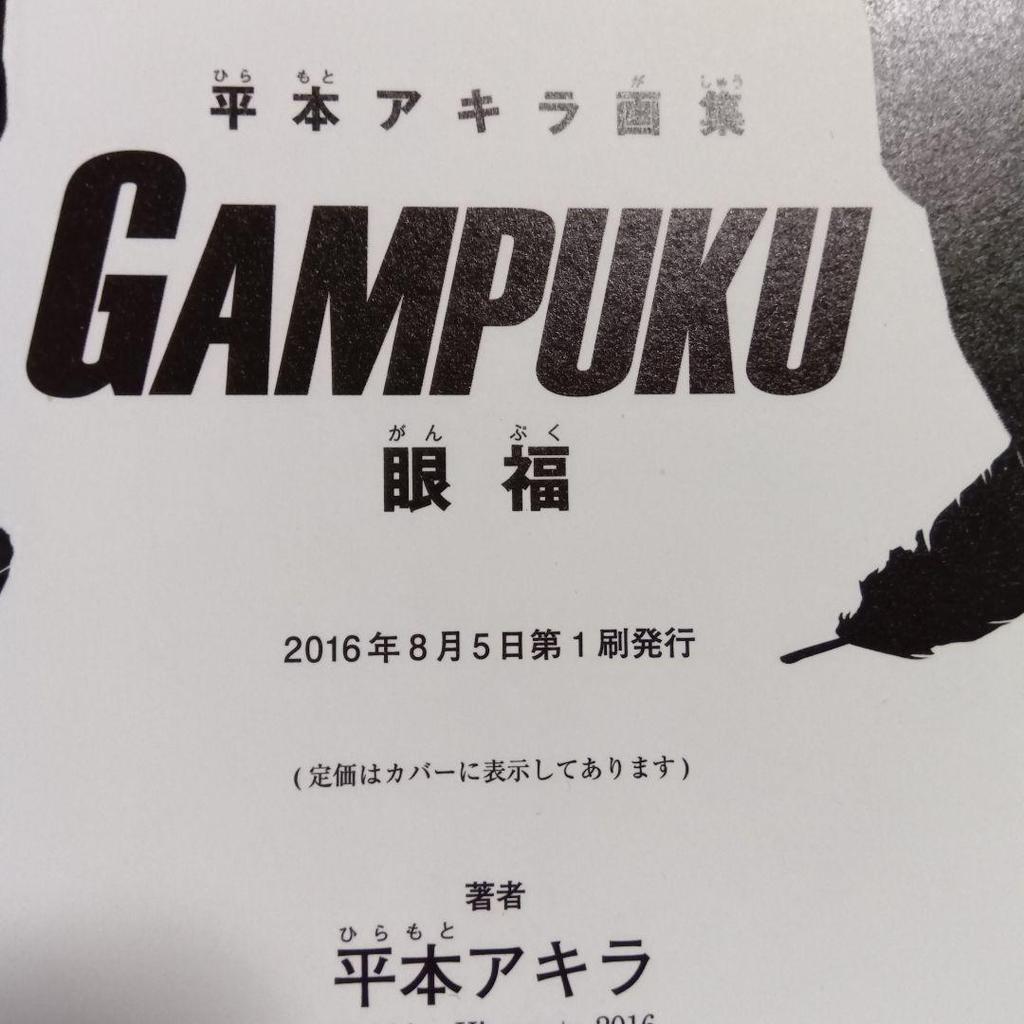 [USED] Akira Hiramoto Art Collection GAMPUKU Eye-pleasing