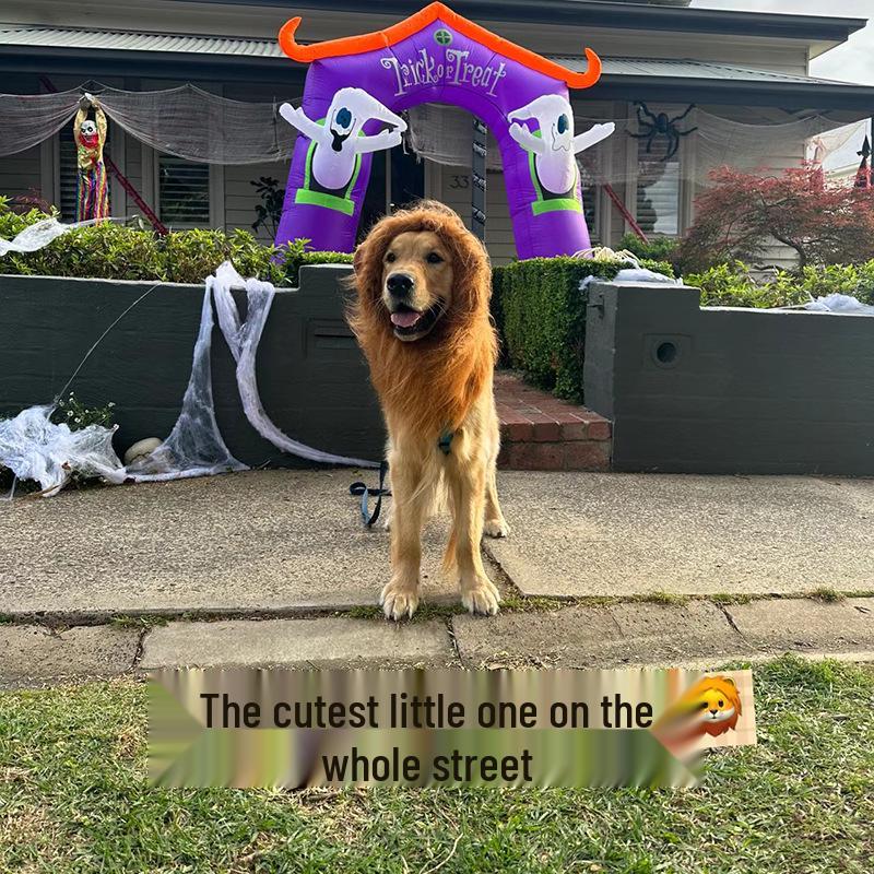 Funny Lion Wig for Cats & Dogs - Cute Halloween Costume Hat