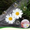 Herbacin German Chamomile Cracked Repair Cream