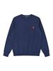 Casual Autumn American Style Pure Cotton Long Sleeve Polo Hoodie with Embroidered Horse Design