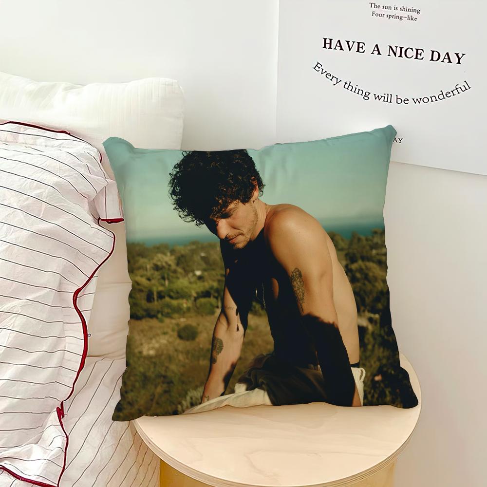 Singer Shawn Mendes Shawn Pillow Case Sofa Living Room Bedroom Headboard Backrest Cushion Square Cushion Nap Time 16x16Inch