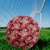 Liverpool Soccer Ball Size 5 Football Machine Sewn Indoor Outdoor Universal Football Ideal for Soccer Enthusiasts Birthday Christmas Wedding Party Gif