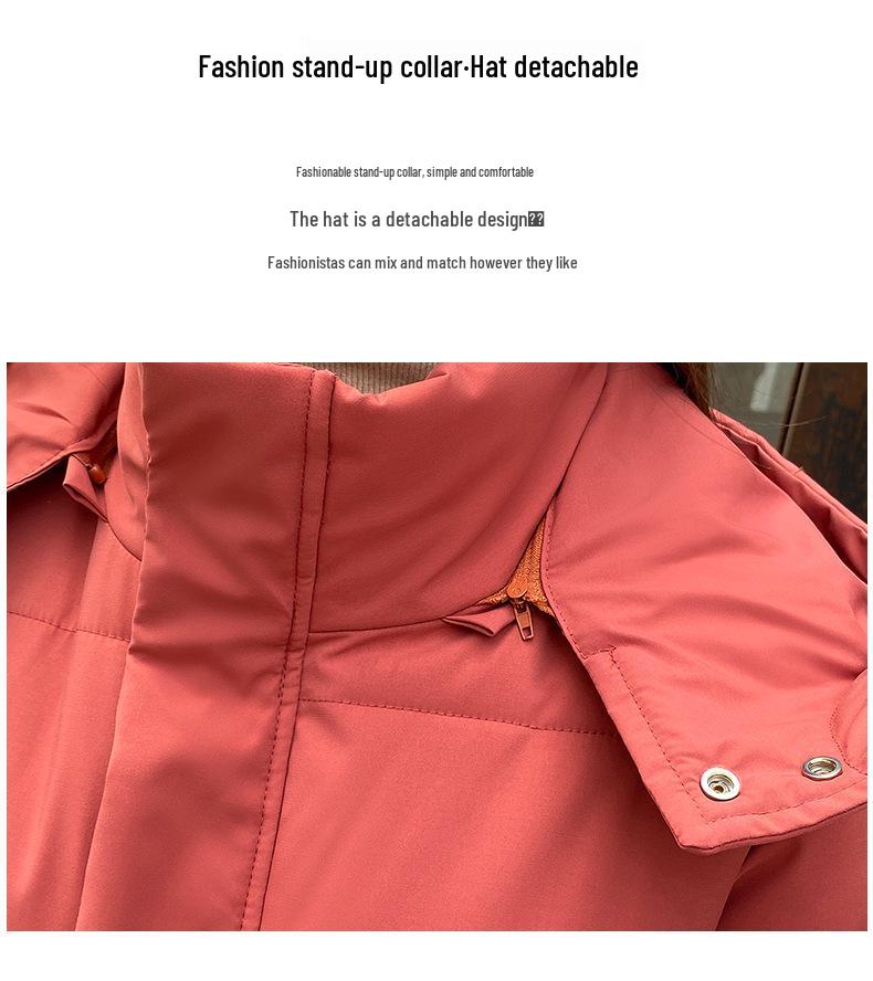 Women's Long Loose Korean Style Down Cotton Coat - Winter 2025 Collection