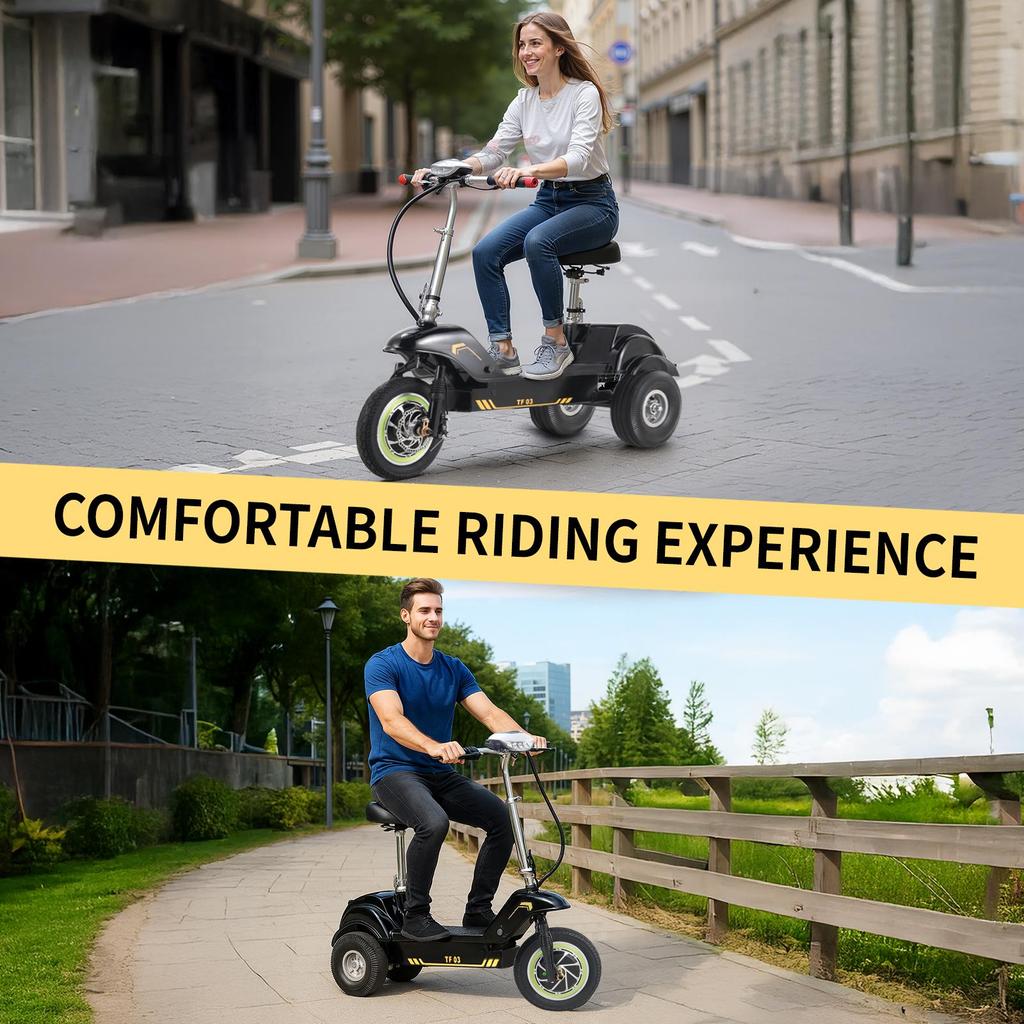 Three-wheeled Electric Scooter Twofish TF03 500W Motor 48V15Ah Battery 30km/h Max Speed 30km Max Range