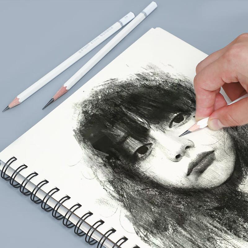CHINJOO Professional Drawing Pencils