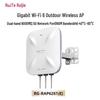 Ruijie RG-RAP6261(E) Dual-Band WiFi 6 Outdoor Access Point (CN Version)