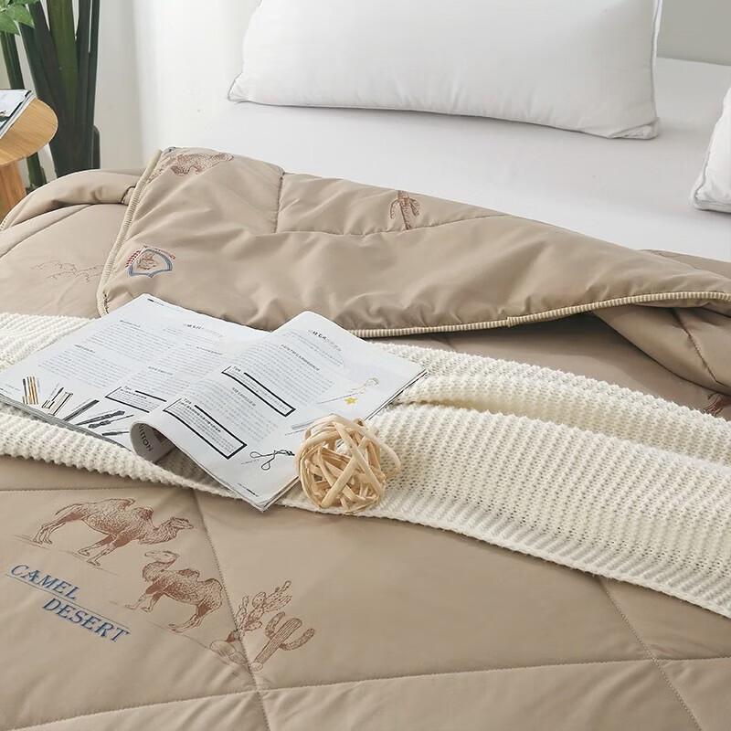 Burenshu Classic Warm Blended Silk Quilt