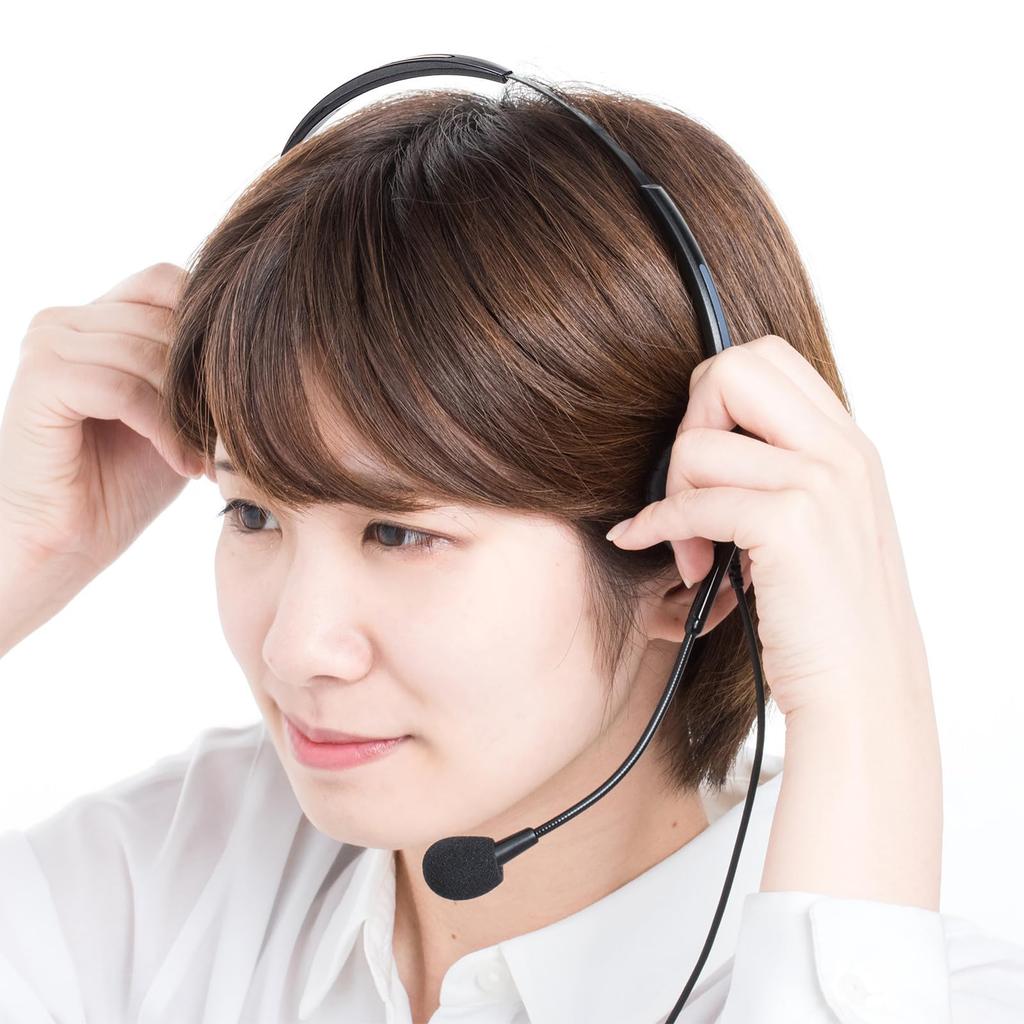 Sanwa Supply Guide System Headset (Over-the-Head Type) MM-WGS4-HS2