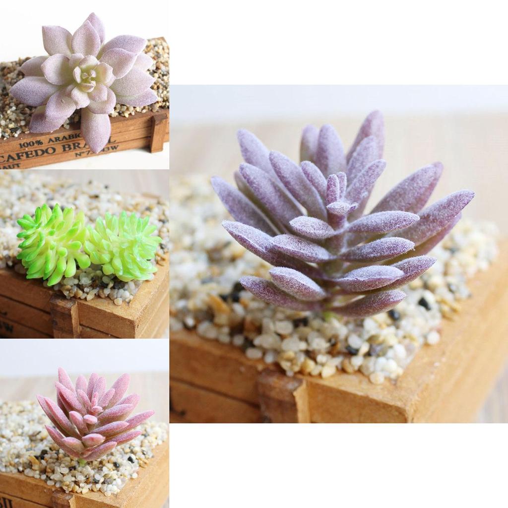 Vibrantly Colored Mini Artificial Succulents For Stylish Floral Office Decor