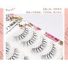 Lashie - Crisscross Multipack False Eyelashes