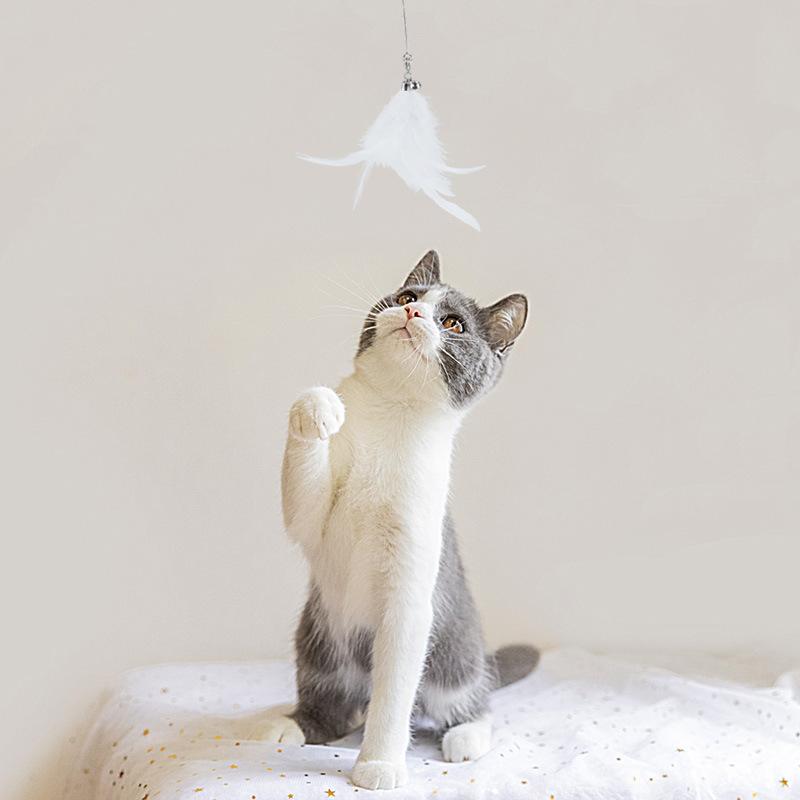 Wooden Handle Spring Feather Cat Wand Toy