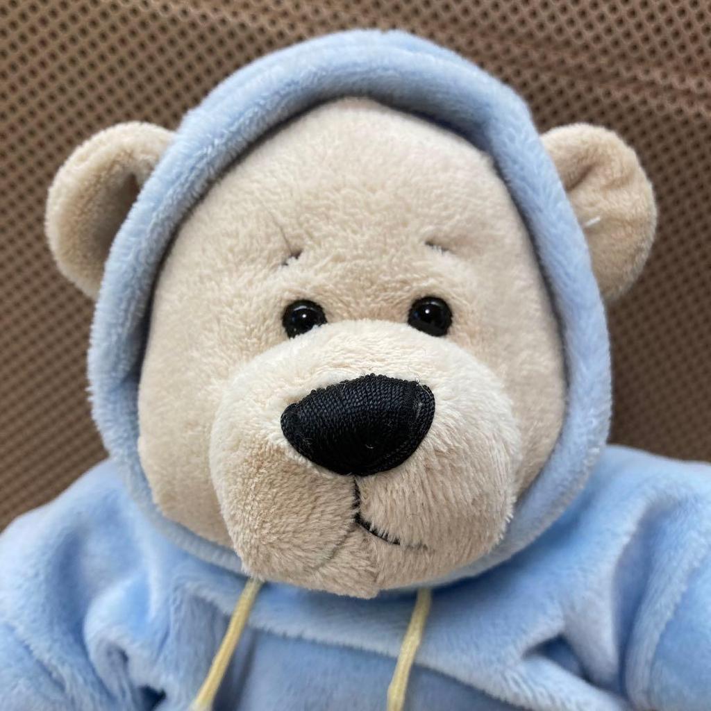 [USED] Teddy bear stuffed animal